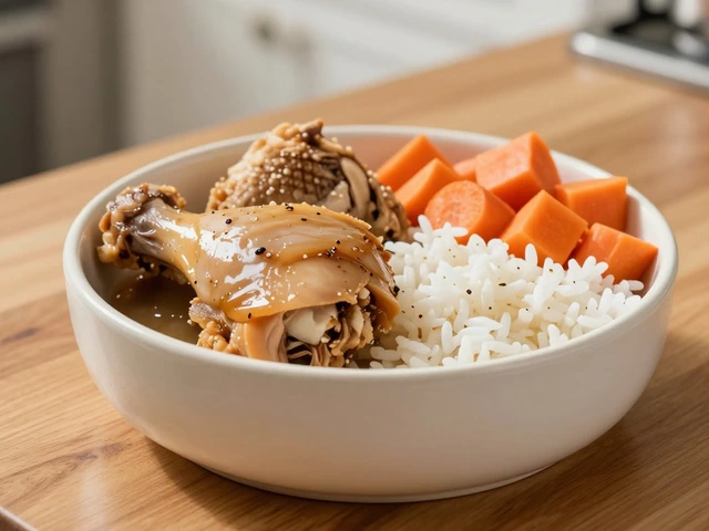 Best and Cheapest Ways to Feed Dogs: Budget-Friendly Nutrition Guide